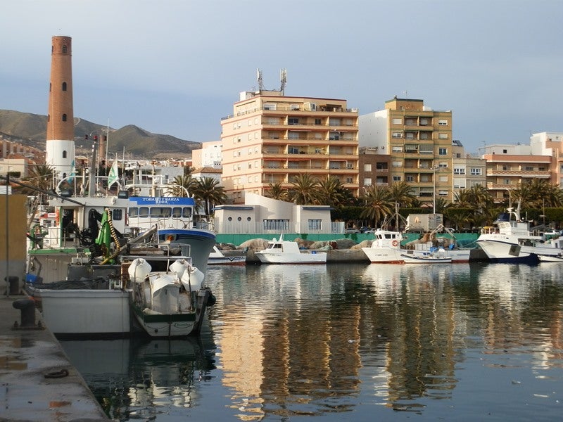 Intervienen 172 kilos de pulpo y 34 de mejillones en el Puerto de Adra