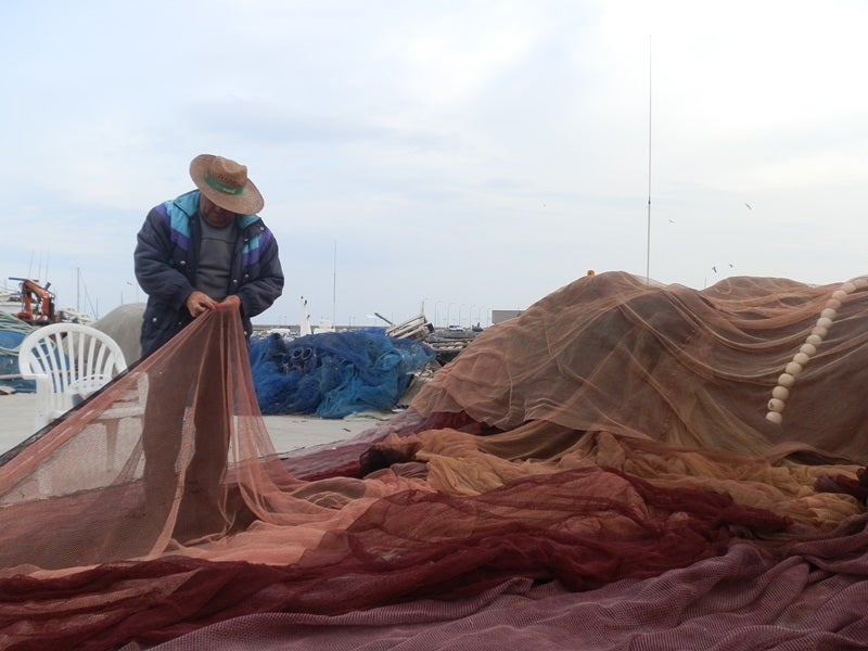 Los delfines ocasionan pérdidas de más de 370.000 euros en veinte barcos de Adra
