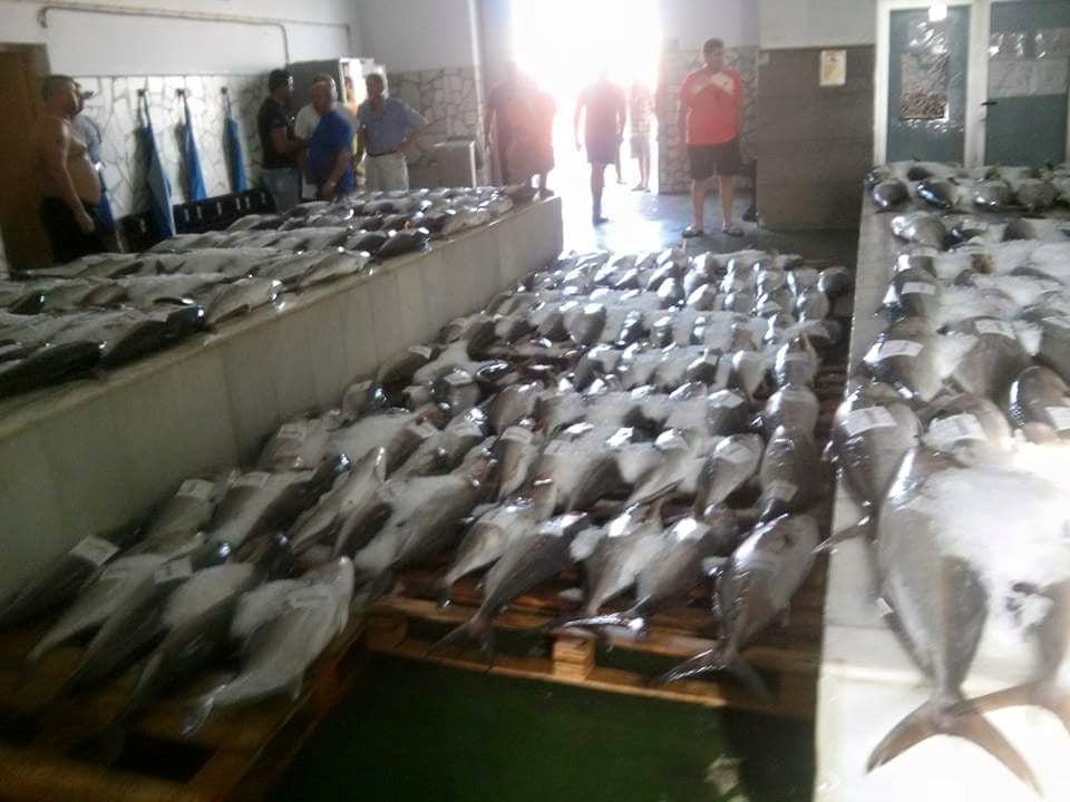 Una noche de pesca por 70.000 euros
