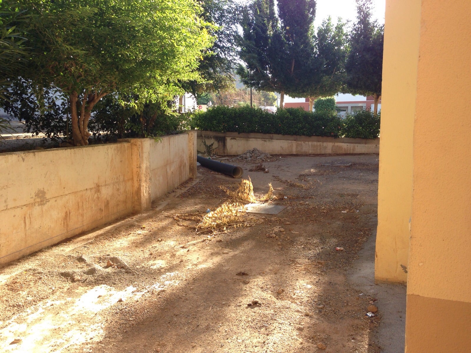 El Ayuntamiento se pone manos a la obra en el barrio virgitano de La Unión