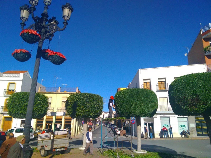 Guirnaldas de bajo consumo para adornar la Navidad en Berja