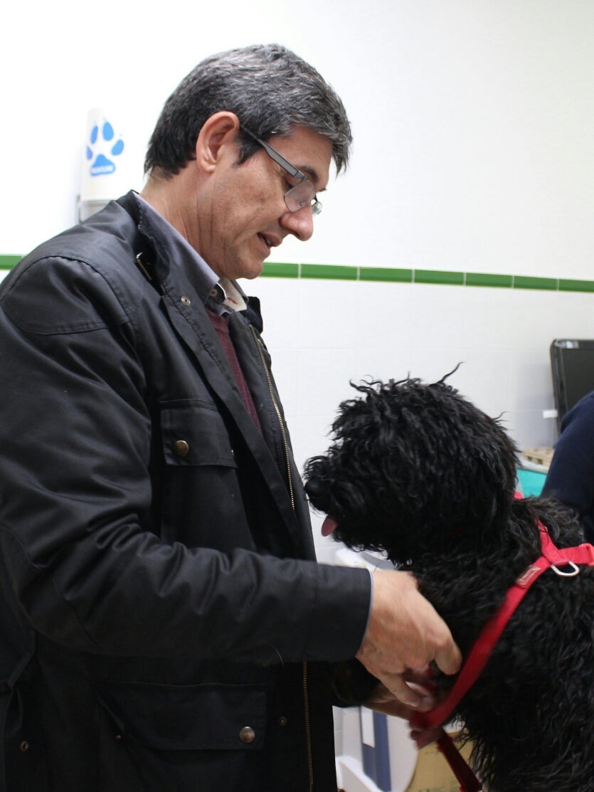 Doce meses de plazo para identificar a las mascotas y aportar la prueba de ADN