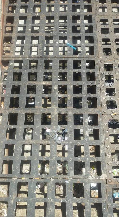El Ayuntamiento ataja los malos olores en la Rambla de las Cruces