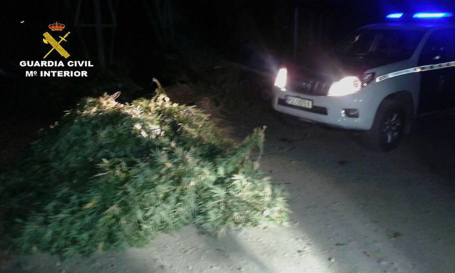 Detenido un vecino de Adra mientras regaba su plantanción de marihuana