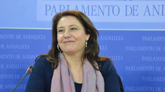 Carmen Crespo 'recuerda' a la Junta sus asignaturas pendientes en Adra