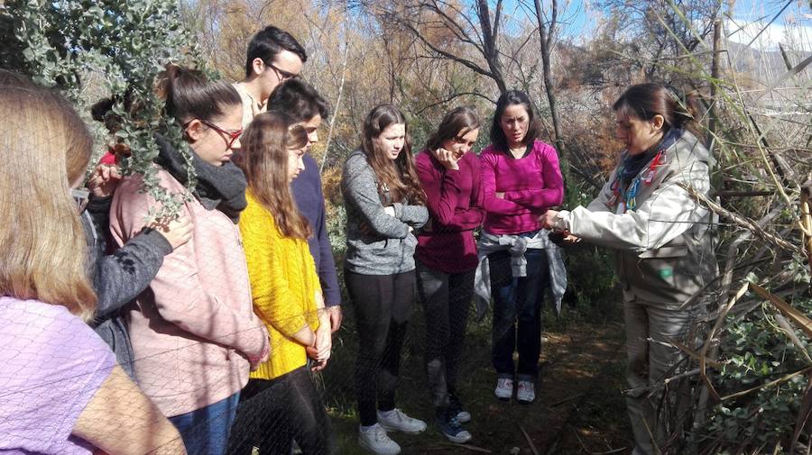 Estudiantes de El Ejido en las Albuferas