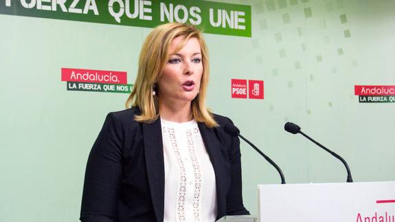 El PSOE llama a la puerta de C's para sacar adelante una moción de censura en Adra