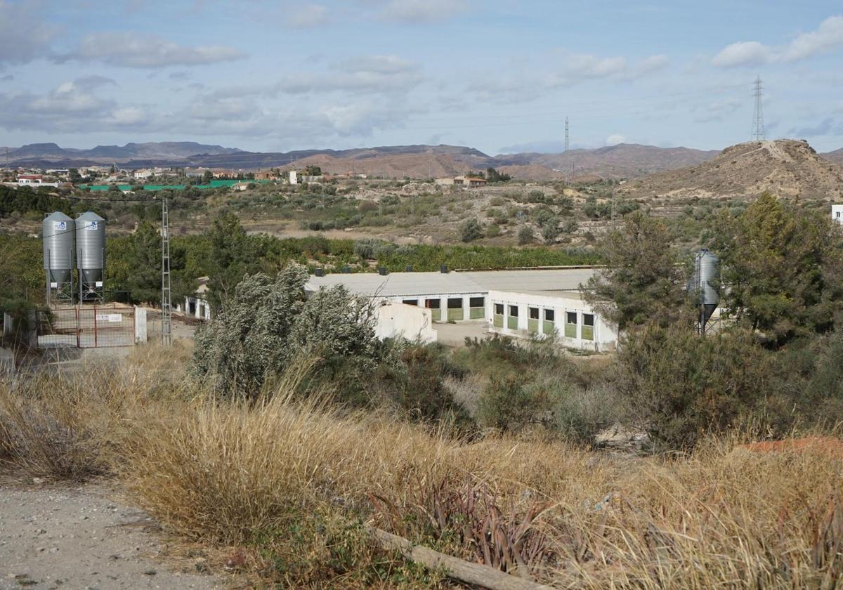 Ordenan revisar permisos a una granja porcina situada a unos 145 metros de una vivienda en Albox