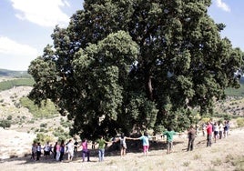 El alcalde de Serón tras el aumento de la grieta en 'La Peana': «No es que tenga salvación, tiene recuperación»