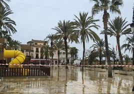 Palmeras acordonadas de manera preventiva en Albox.