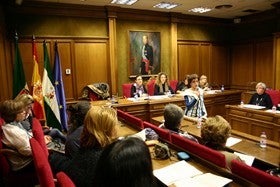 50.000 € en subvenciones para las 110 entidades que forman el Consejo Provincial de La Mujer