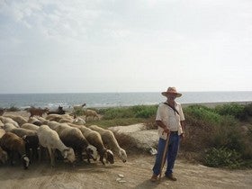 Curso ‘on line’ de bienestar animal en el transporte