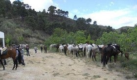 Los Amigos del Caballo del Almanzora se reúnen en Albanchez
