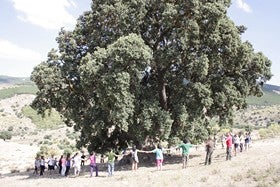 Pasos firmes hacia la futura declaración  del Parque Natural Sierra de Los Filabres