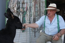Érase una vez la historia de un hombre  del mármol y de su amistad con los ‘burricos’