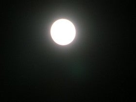 Senderos de Luna Llena hoy en Arboleas