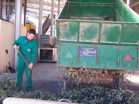 Más del 90% del aceite del Almanzora es calidad Viren Extra