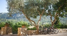 Jornadas; 'A pie y en bici: Cómo integrar los modos de movilidad no motorizada para los municipios',