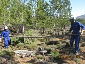 Plan de Choque por el empleo en Serón y Fondón de infraestructuras forestales a través de la Junta