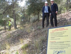 La Junta genera 2.400 jornales con trabajos forestales en Macael, Cantoria, Purchena, Fines, Olula del Río o Urrácal