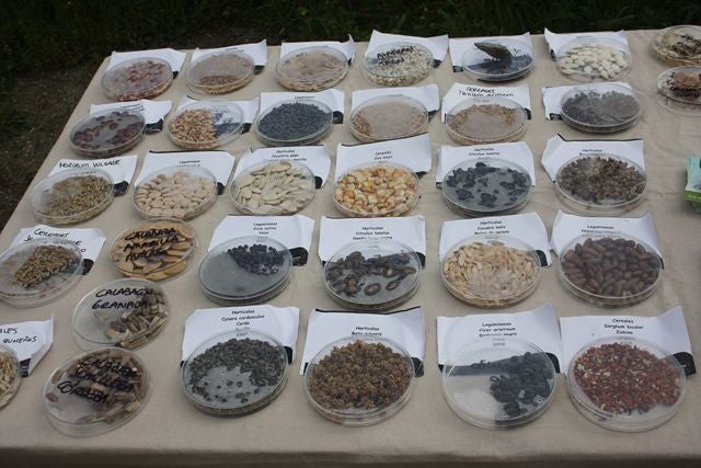 III Jornadas de biodiversidad en Serón este fin de semana