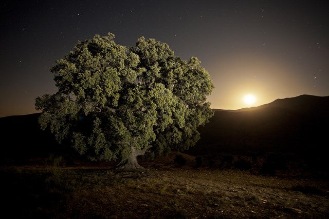 El bastetano José Vico Arias gana el certamen fotográfico 'Sierra de Serón'