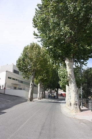 Serón invertirá 600.000 euros en mejorar su espacio urbano y movilidad