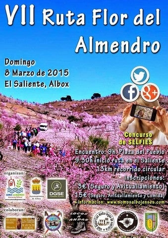 La Ruta  de la Flor de Almendro en Albox  tendrá lugar el próximo 8 de Marzo”