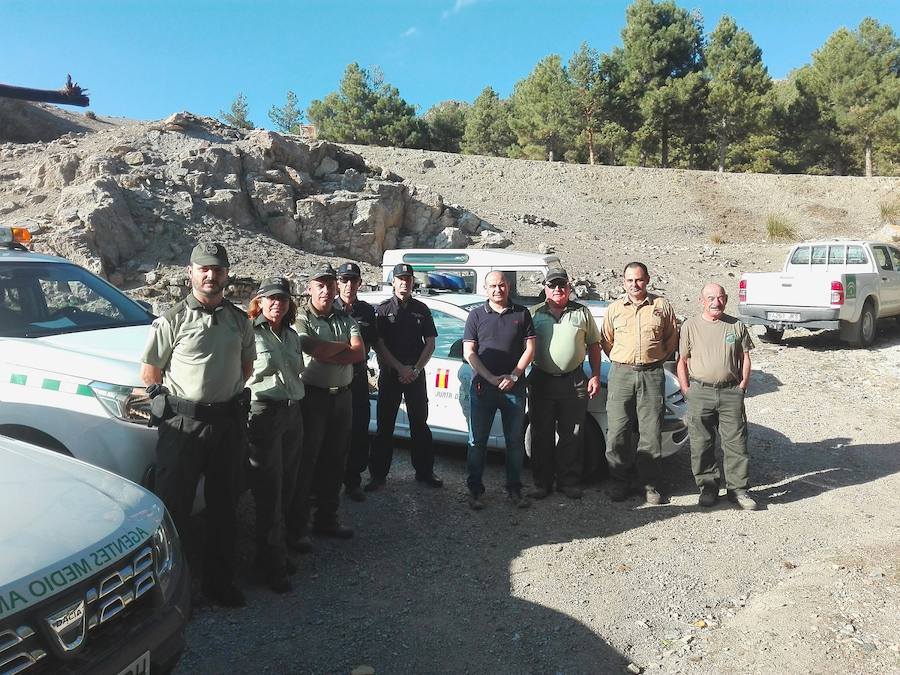 Medio Ambiente refuerza la vigilancia contra el furtivismo en Filabres durante la berrea del ciervo