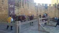 Exhibición de combate medieval. 