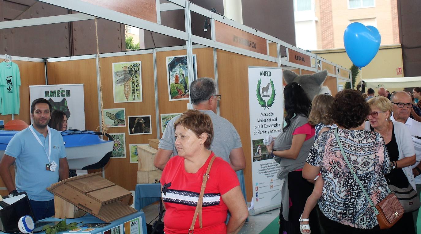 Una cincuentena de empresas del sector de la automoción, energías renovables, de productos agroalimentarios y de seguros muestran sus últimas tendencias en la Feria Mutisectorial Ciudad de Andújar