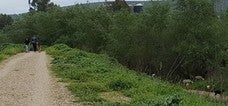 Ribera del río Guadalquivir, donde conviven la fauna y los vecinos. 
