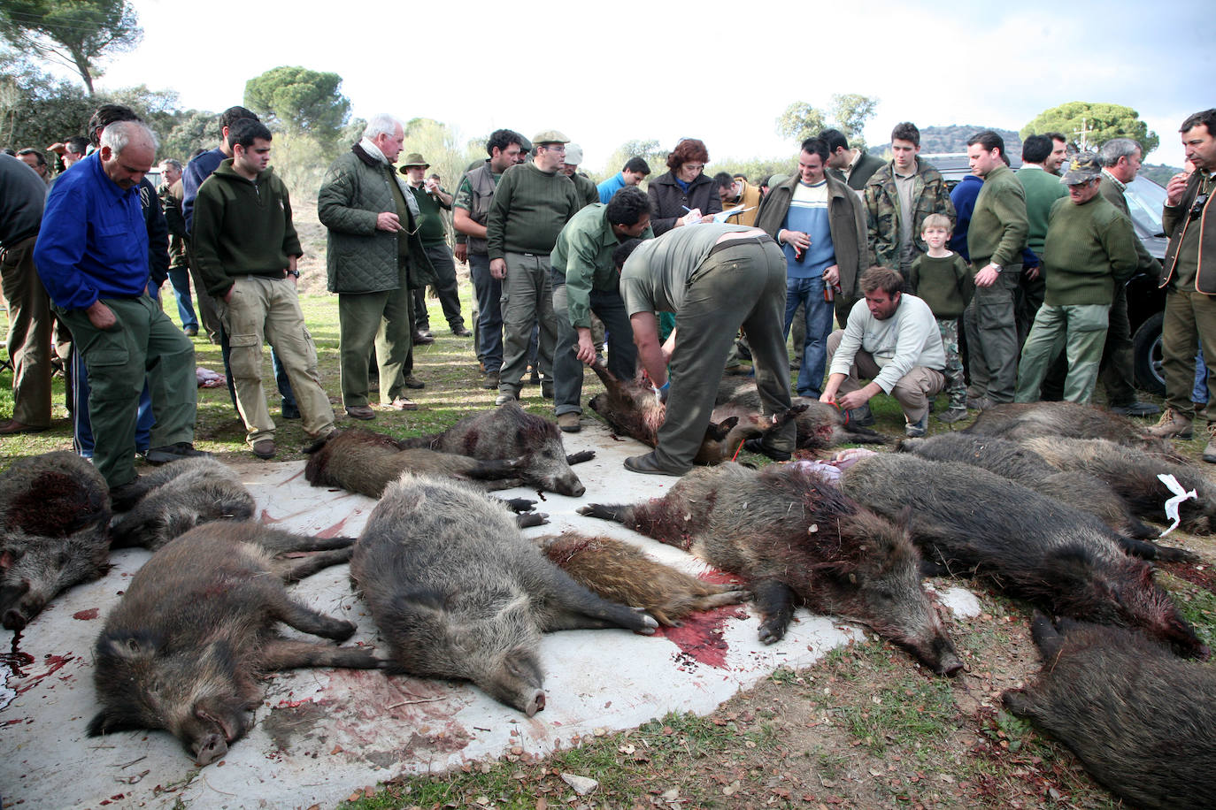 El Covid-19 apunta su gatillo hacia las monterías