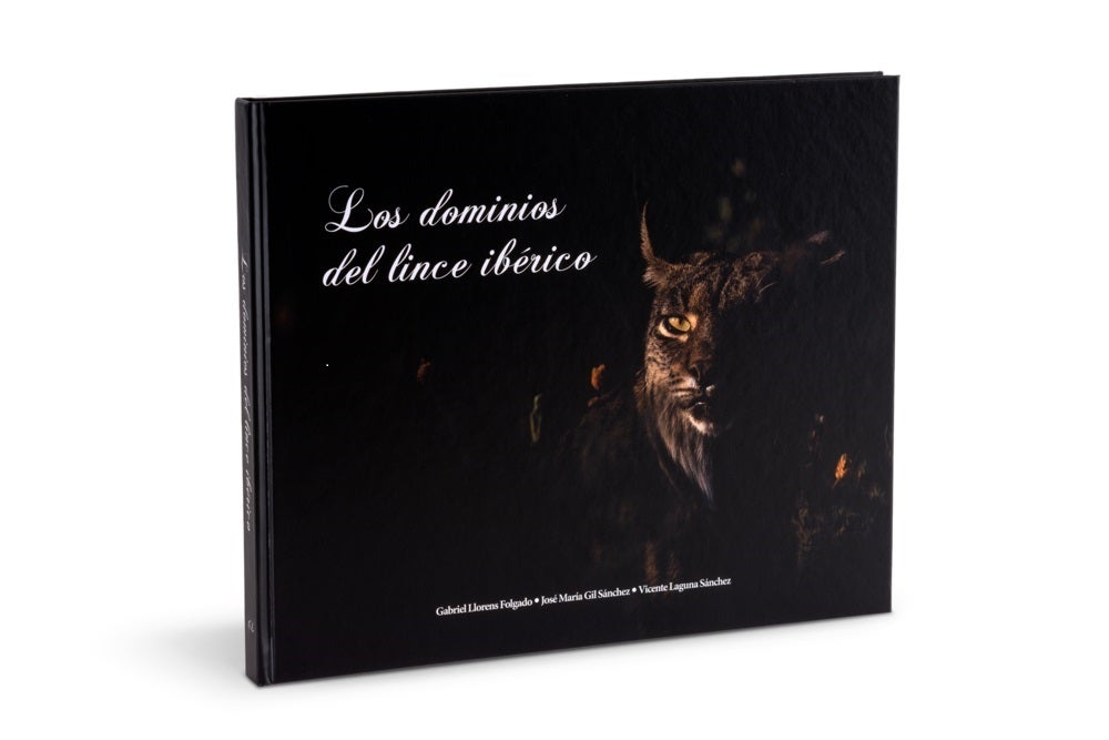 Insantánea de un lince que aparece en el libro. 