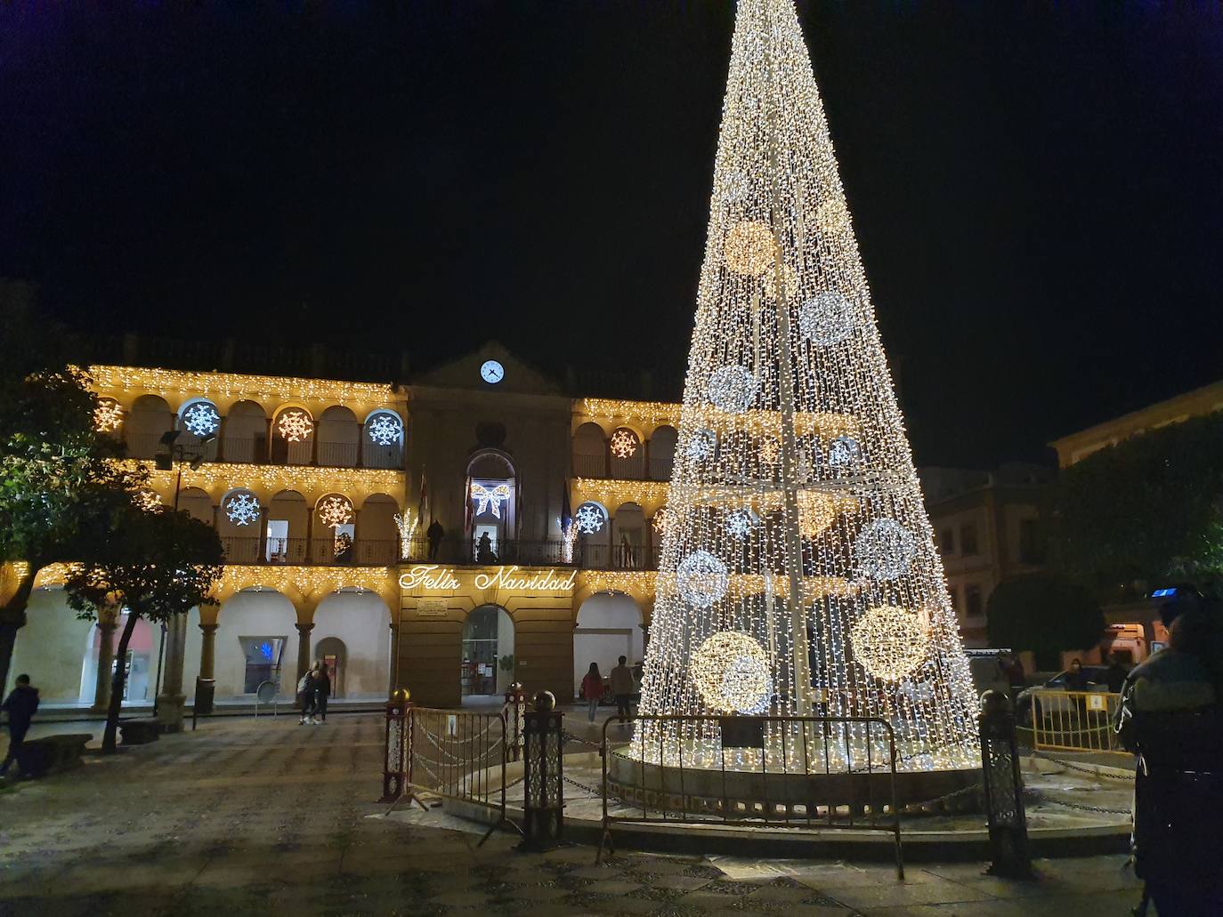 El árbol volverá a presidir la Plaza de España. 