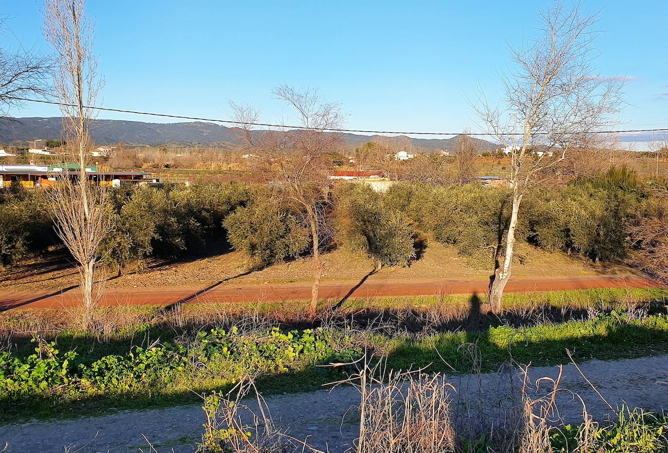 Aspecto que presentaban ayer los olivares y cultivos de la zona de La Isla, tras las últimas lluvias. 