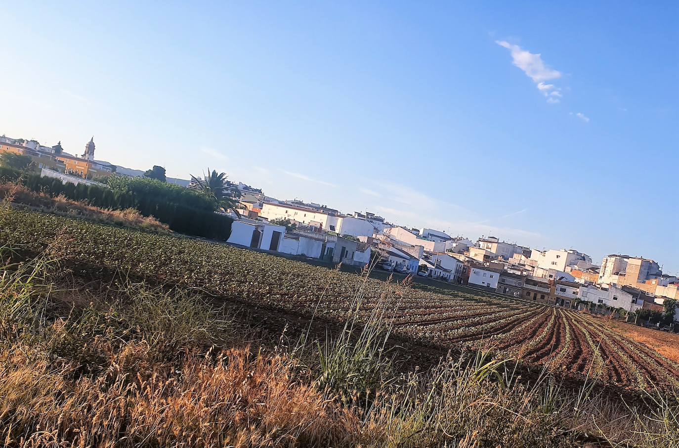 Fomento y Ayuntamiento abordan la reactivación del desarrollo urbanístico de la fachada sur