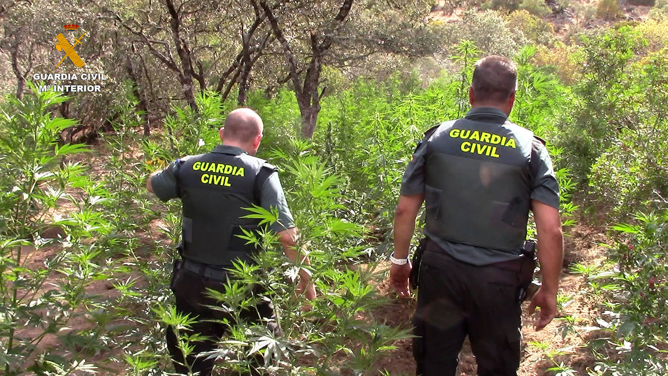 Efectivos de la Benemérita durante la actuación. 