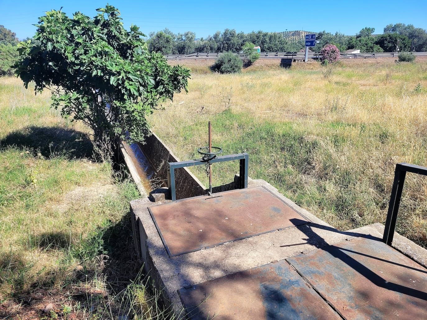 Las infraestructuras de los regadíos del entorno se han quedado obsoletas. 