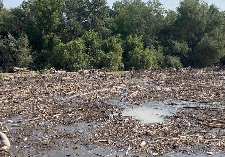 Estado en el que se halla el entorno de la presa