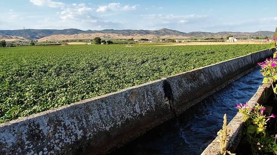 Canal de riego en Andújar.