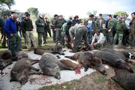 Montería en la serranía andujareña.