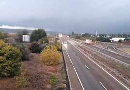 Zona en la que se pretende crear el centro logístico.