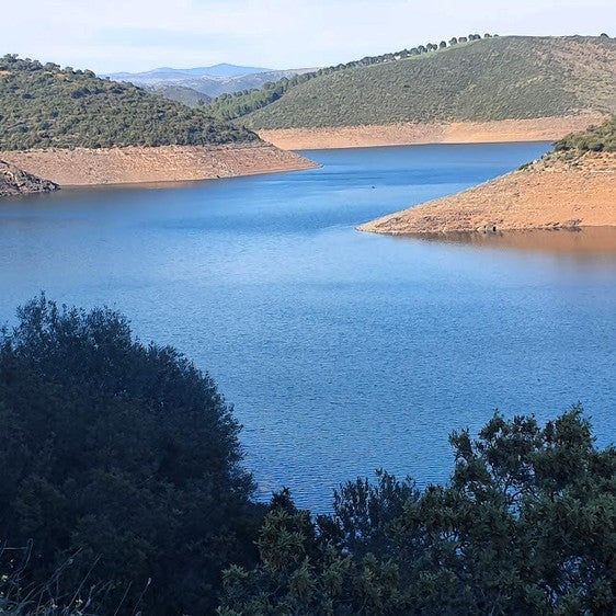 Las últimas lluvias preconizan la salvación de las cosechas en la zona