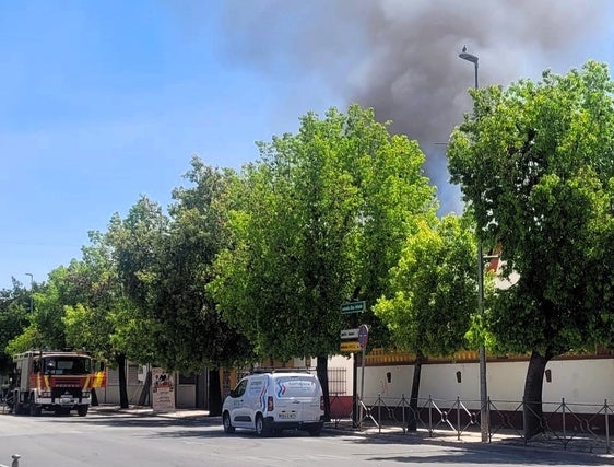Los bomberos han conseguido controlar ya el fuego de la SAFA de Andújar