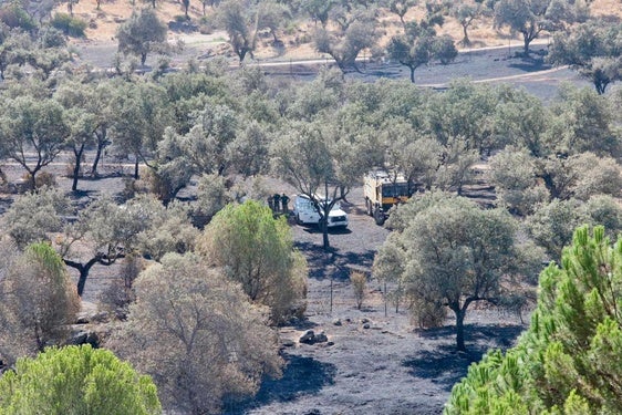 El fuego de la serranía andujareña tuvo tres focos distintos en su origen