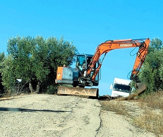 El área de Agricultura renovará ocho caminos rurales en Andújar