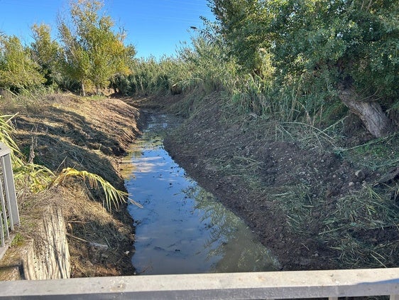 LAS BARBAS DEL VECINO