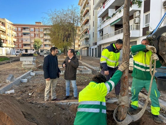 La concejalía de Medio Ambiente repone el arbolado de la plaza Itálica de Andújar