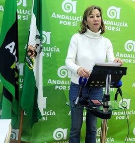 ENCARNA CAMCHO DURANTE SU COMPARECENCIA DE AYER.